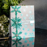 SPELLBINDERS:  Delicate Snowflakes | Die