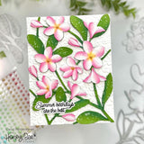 HONEY BEE STAMPS: Bold Backgrounds | Plumeria | Honey Cuts