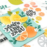 CONCORD & 9 th : Citrus Crush | Stamp and Die Bundle