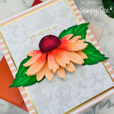 HONEY BEE STAMPS: Lovely Layers: Coneflower | Honey Cuts